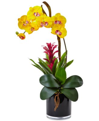 Nearly Natural - Orchid & Bromeliad Artificial Arrangement in Glossy Black Cylinder Vase