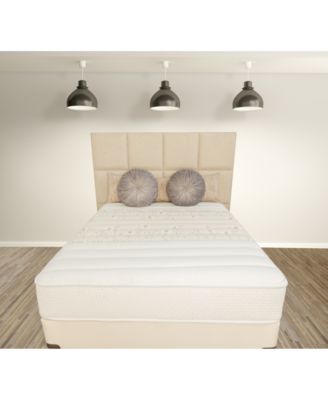 Paramount - Eden 12" Plush Mattress Set- Twin