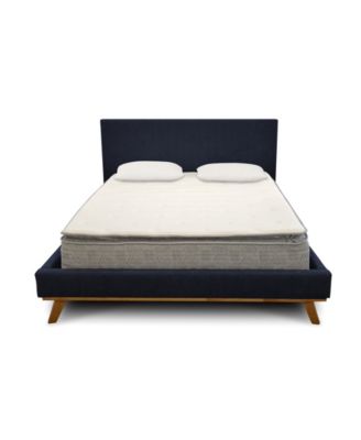 Primo International - Primo Noble 10" Plush Mattress- California King + 2 Free Pillows