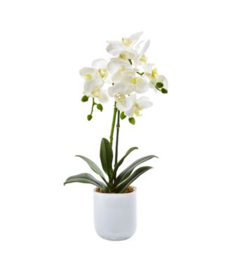 Nearly Natural - Phalaenopsis Orchid in Frosted Glass