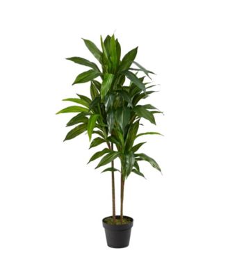 Nearly Natural - 48" Dracaena Real Touch Plant