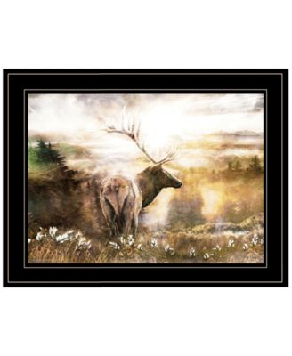 Trendy Décor 4U