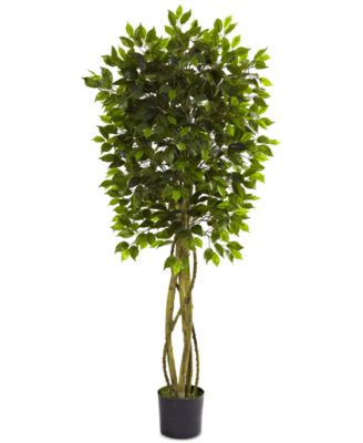 Nearly Natural - 5.5' Ficus UV-Resistant Indoor/Outdoor Tree