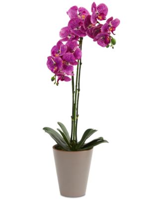 Nearly Natural - 24” Speckled Phalaenopsis Orchid Artificial Arrangement with Vase