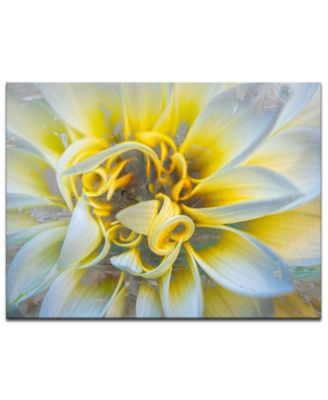 Ready2HangArt - 'Painted Petals XXXVII' Canvas Wall Decor