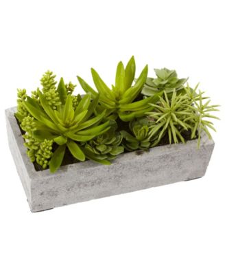 Nearly Natural - Succulent Garden with Concrete Planter