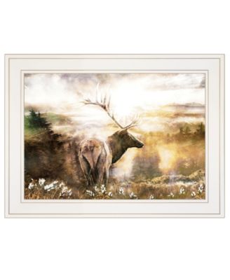 Trendy Décor 4U