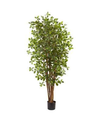 Nearly Natural - 6' Black Olive Silk Tree