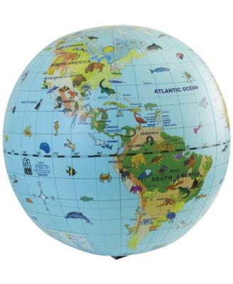 Tedco Toys - 7943881